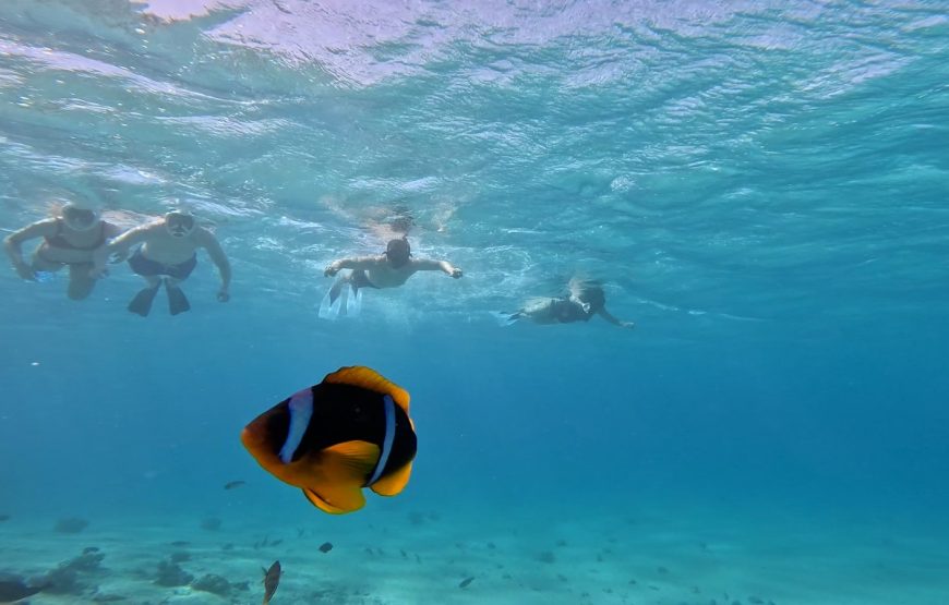 Hurghada: Yacht Trip 3 islands, Dolphin & Snorkeling W Lunch