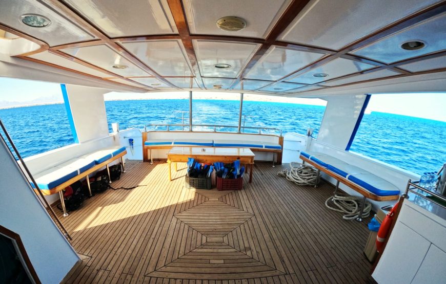 Hurghada: Yacht Trip 3 islands, Dolphin & Snorkeling W Lunch