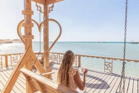 Orange Bay and White Island Private Speedboat Tour